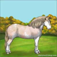 Horse Color:Chestnut Ice Sabino Splash Blanket 