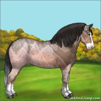 Horse Color:Bay Ice Sabino Splash Varnish 