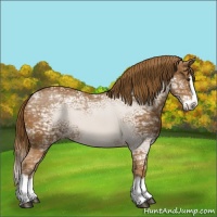 Horse Color:Chestnut Ice Splash Varnish 