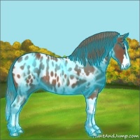 Horse Color:Thunderstruck Chestnut Sabino Splash Appaloosa Rabicano 