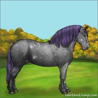 Horse Color:Painted Black Varnish 