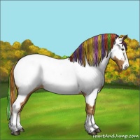 Horse Color:Painted Chestnut Sabino Splash Appaloosa 