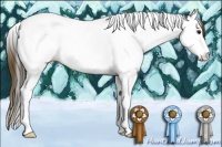 Horse Color:Plaid Bay Ice Splash Tobiano Appaloosa