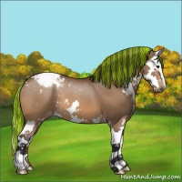 Horse Color:Painted Brown Sabino Splash Varnish 
