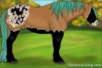 Horse Color:Painted Chestnut Sabino Splash Blanket 