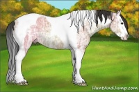 Horse Color:Bay Ice Dun Splash Tobiano 