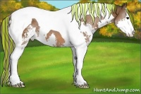 Horse Color:Painted Bay Sabino Splash Tobiano Appaloosa