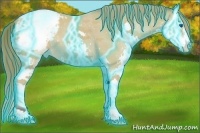 Horse Color:Thunderstruck Buckskin Sabino Splash Appaloosa