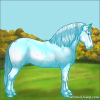 Horse Color:Thunderstruck Bay Sabino Splash Appaloosa