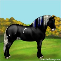 Horse Color:Plaid Chestnut Sabino Splash Appaloosa