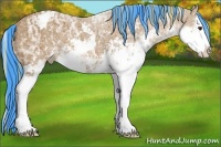 Horse Color:Painted Chestnut Ice Sabino Splash Appaloosa