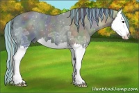 Horse Color:Painted Nacre Black Ice Sabino Splash