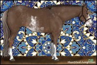 Horse Color:Liver Chestnut Sabino Rabicano