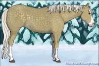 Horse Color:Silver Smoky Black Sabino Splash