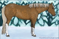 Horse Color:Silver Buckskin 