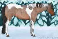Horse Color:Bay Roan Tobiano