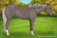Horse Color:Silver Black 