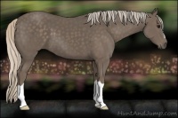 Horse Color:Silver Black 