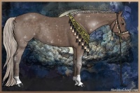 Horse Color:Silver Black 