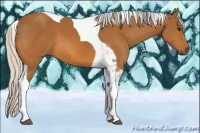 Horse Color:Silver Bay Tobiano 