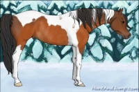 Horse Color:Brown Tobiano Rabicano