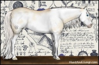 Horse Color:Silver Amber Champagne Dun Splash Frame Rabicano