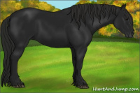 Horse Color:Gray Black 