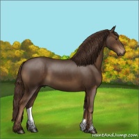 Horse Color:Liver Chestnut