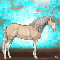 Horse Color:White Spotted Silver Sable Champagne Dun Splash 