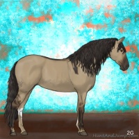 Horse Color:Liver Red Dun Sabino 