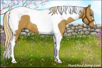 Horse Color:Chestnut Tobiano