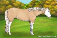 Horse Color:Silver Amber Champagne Splash 