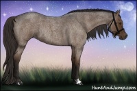 Horse Color:Liver Red Roan Rabicano