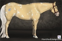Horse Color:White Spotted Silver Classic Cream Champagne