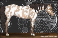 Horse Color:Sable Champagne Roan Near Leopard 