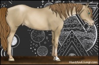 Horse Color:Smoky Black Pearl Appaloosa 