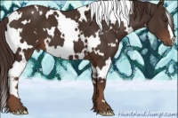 Horse Color:White Spotted Liver Chestnut 