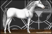 Horse Color:Black Sabino 