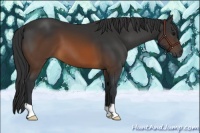 Horse Color:Brown 