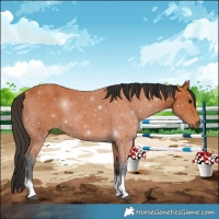 Horse Color:Bay Tobiano 