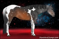 Horse Color:Brown Tobiano 