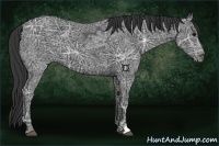Horse Color:Black Ice 