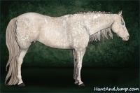 Horse Color:White Spotted Chocolate Palomino Ice Pearl and White Spotted Chocolate Palomino Ice Pearl