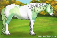 Horse Color:Watercolor Chocolate Palomino Roan Onyx Tobiano