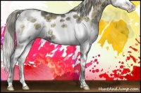 Horse Color:White Spotted Chocolate Palomino Ice Onyx Splash Tobiano