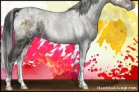 Horse Color:White Spotted Liver Red Onyx Ice Rabicano