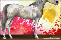 Horse Color:White Spotted Liver Red Dun Ice Tobiano Rabicano