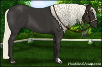 Horse Color:Liver Chestnut Mushroom 