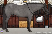 Horse Color:Smoky Blue Roan 
