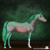 Horse Color:Watercolor Brown 
